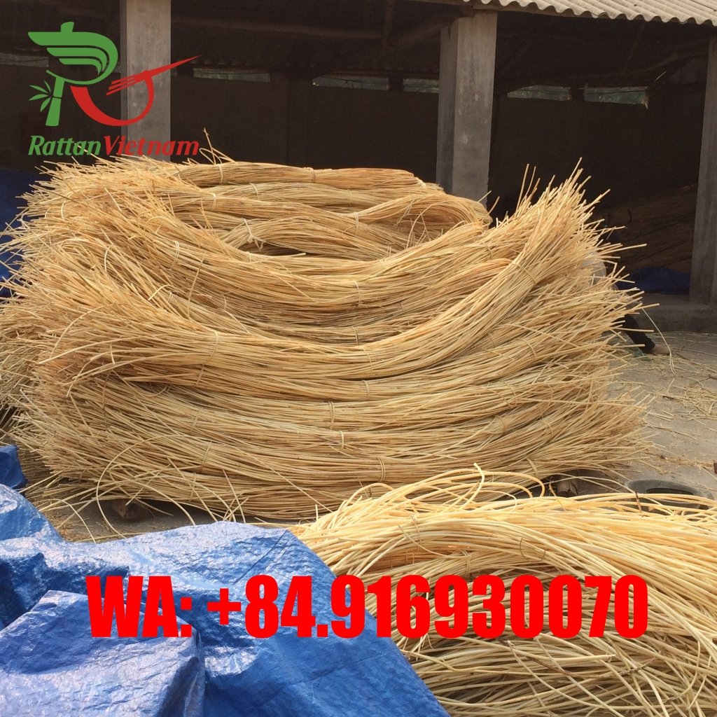 Rattan raw dried material