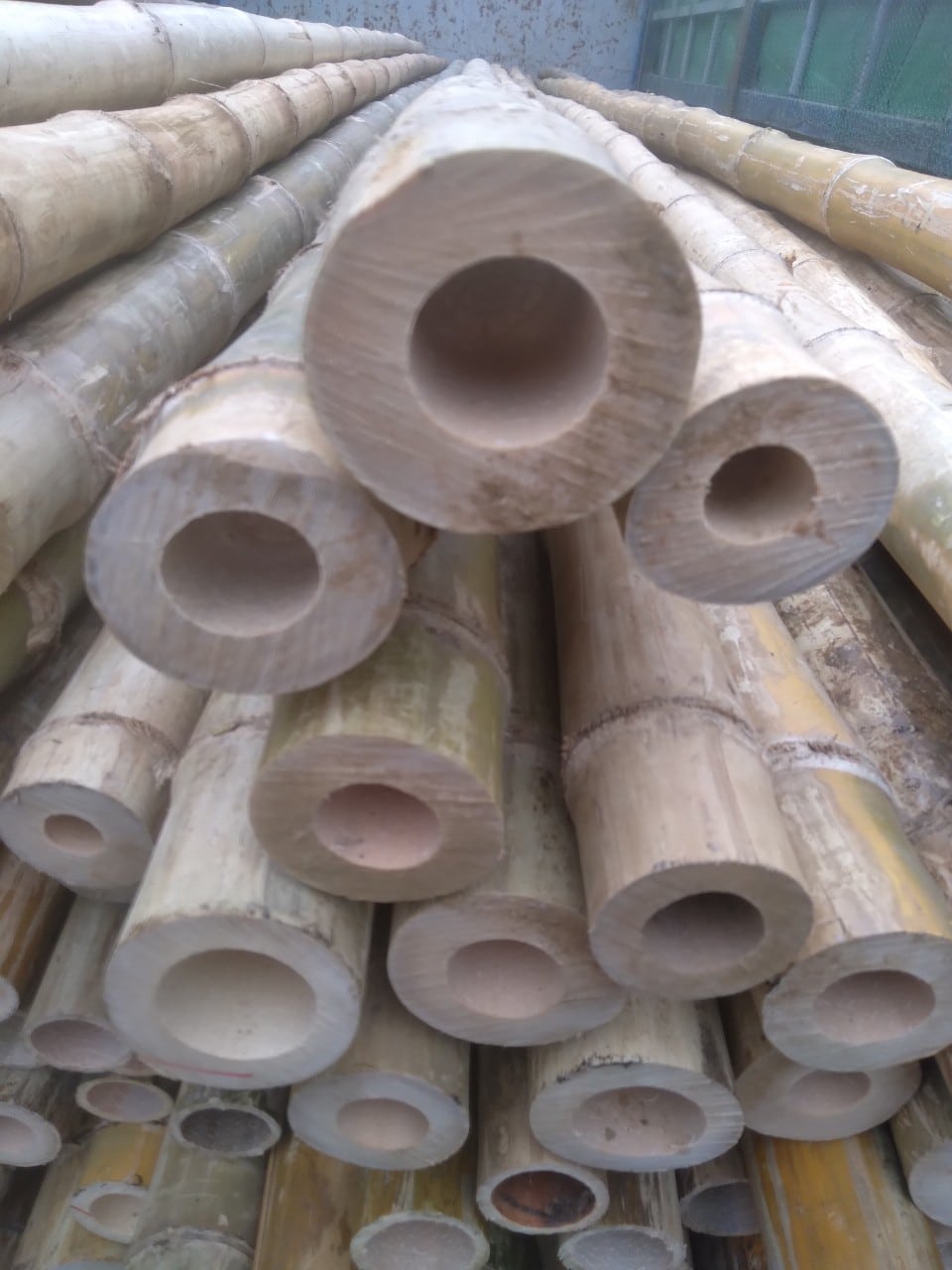 Bamboo Raw Poles